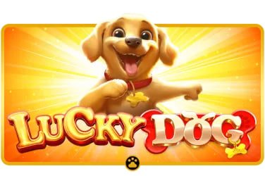 Live Colok Macau draw studio on 1221slot mobile platform